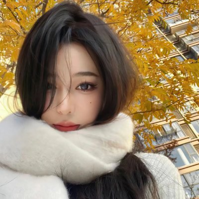 小狐狸维克